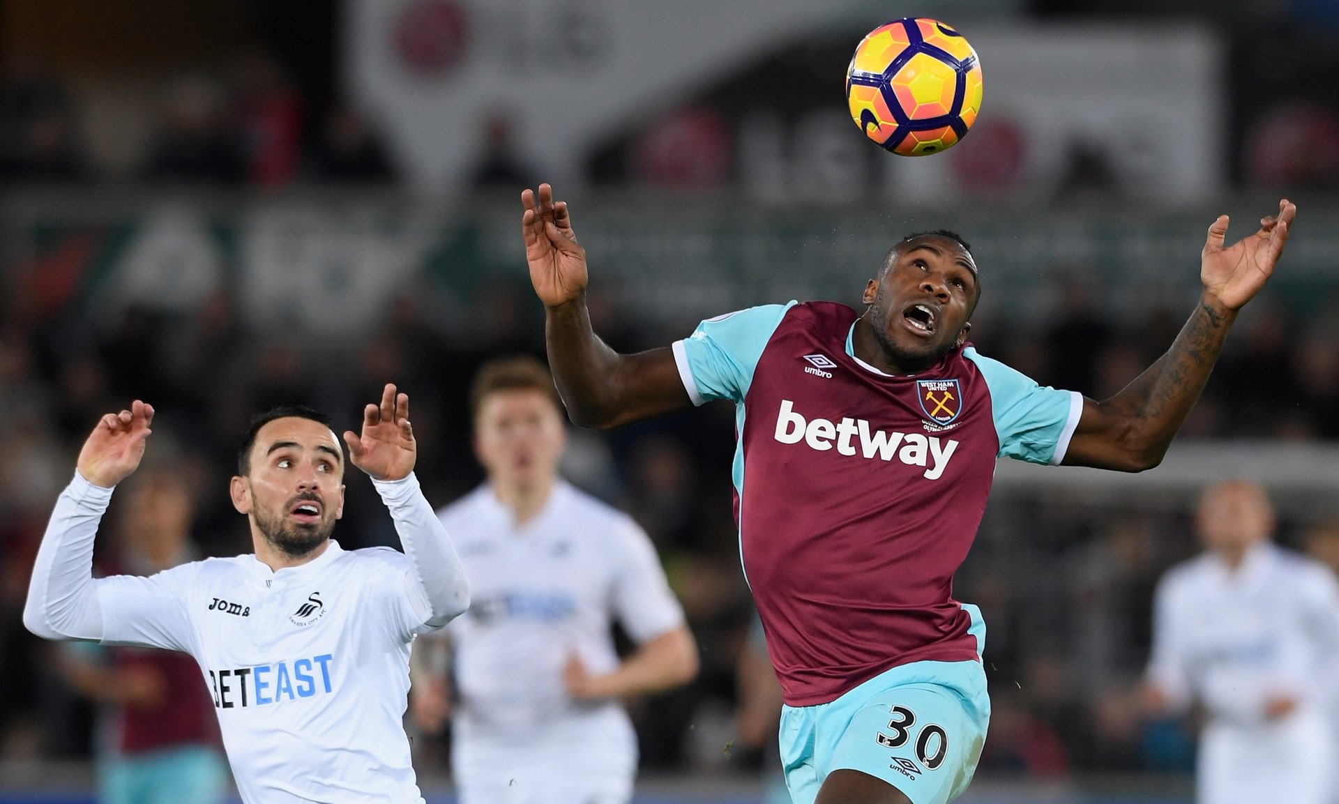 化的魅力迅 化的魅力迅